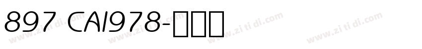 897 CAI978字体转换